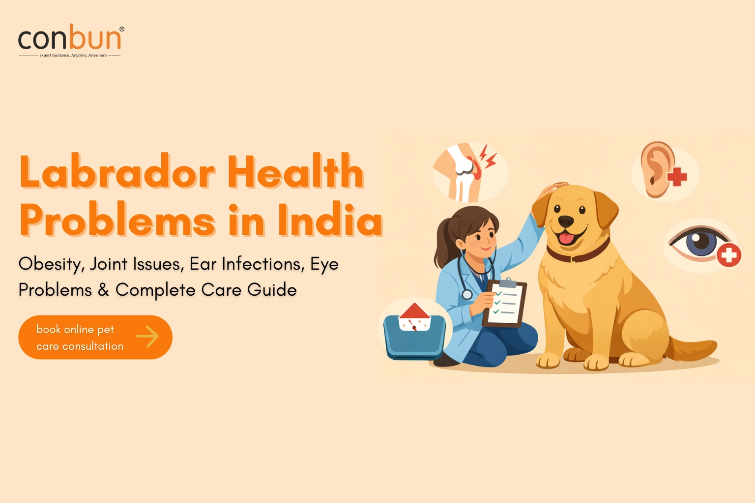 Labrador Health Problems in India: Obesity, Joint Issues, Ear Infections, Eye Problems & Complete Care Guide